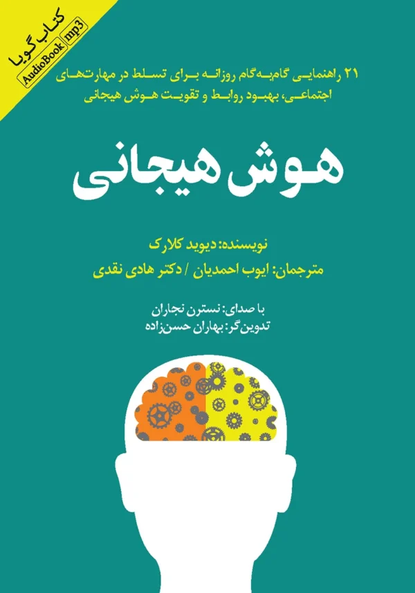 هوش هیجانی